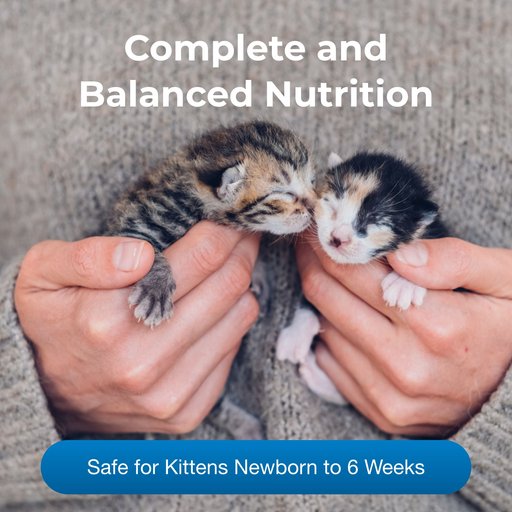 PetAg PetLac Kitten Milk Replacement Powder, 10.5-oz