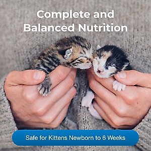 PetAg PetLac Kitten Milk Replacement Powder, 10.5-oz