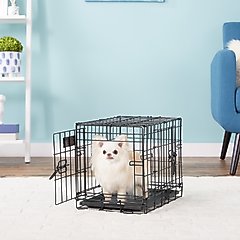 MidWest iCrate Fold & Carry Double Door Collapsible Wire Dog Crate, 18 inch