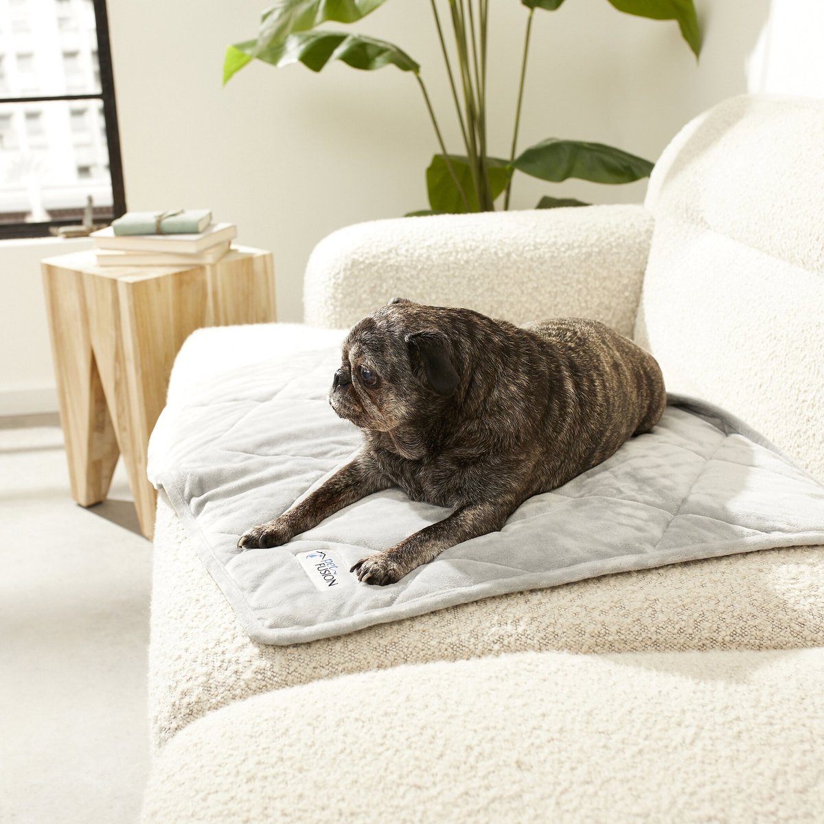 Petfusion blanket shop