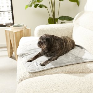 PetFusion Microplush Quilted Dog & Cat Blanket, Gray, Small