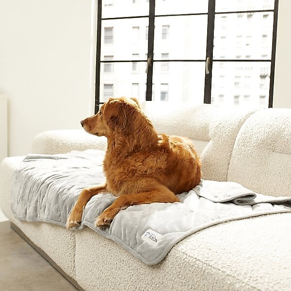 PetFusion Microplush Quilted Dog & Cat Blanket, Gray, X-Large slide 1 of 8