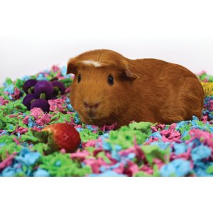 Carefresh Special Edition Small Animal Bedding, Tutti Frutti, 50-L