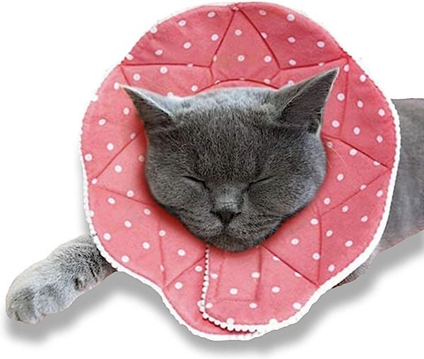 SunGrow Post-Surgery Soft Cone Dog & Cat Recovery Collar, Pink, Medium slide 1 of 6