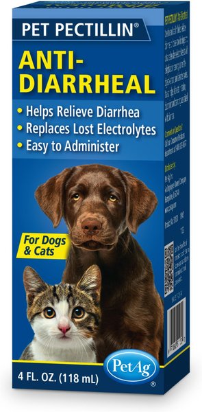 Anti diarrhea 2024 medication for cats