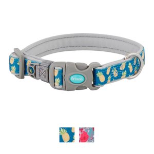 Frisco Patterned Neoprene Dog Collar, Pineapple, Small: 10 to 14-in neck, 3/4-in wide