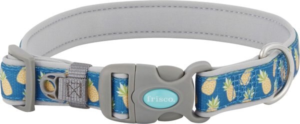 Frisco Patterned Neoprene Dog Leash