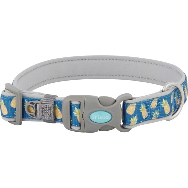 Frisco Patterned Neoprene Dog Collar