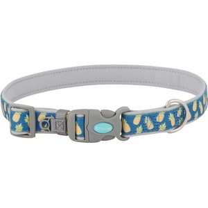 Frisco Patterned Neoprene Dog Collar, Pineapple, Large: 18 to 26-in neck, 1-in wide
