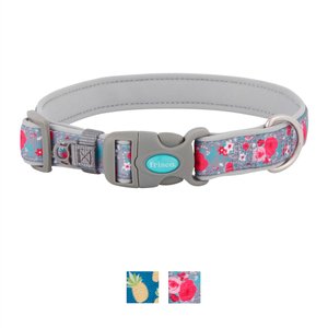 Frisco Patterned Neoprene Dog Collar, Rose, Medium: 14 to 20-in neck, 1-in wide
