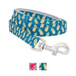 Frisco Patterned Neoprene Dog Leash, Pineapple, Small: 4-ft long, 5/8-in wide