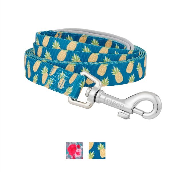 FRISCO Patterned Neoprene Dog Leash, Pineapple, Large 6ft long, 3/4