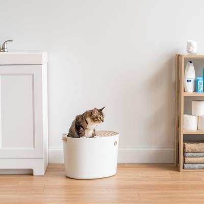 Show full view: IRIS Top Entry Cat Litter Box with Scoop, White/Beige, Medium slide 4 of 10