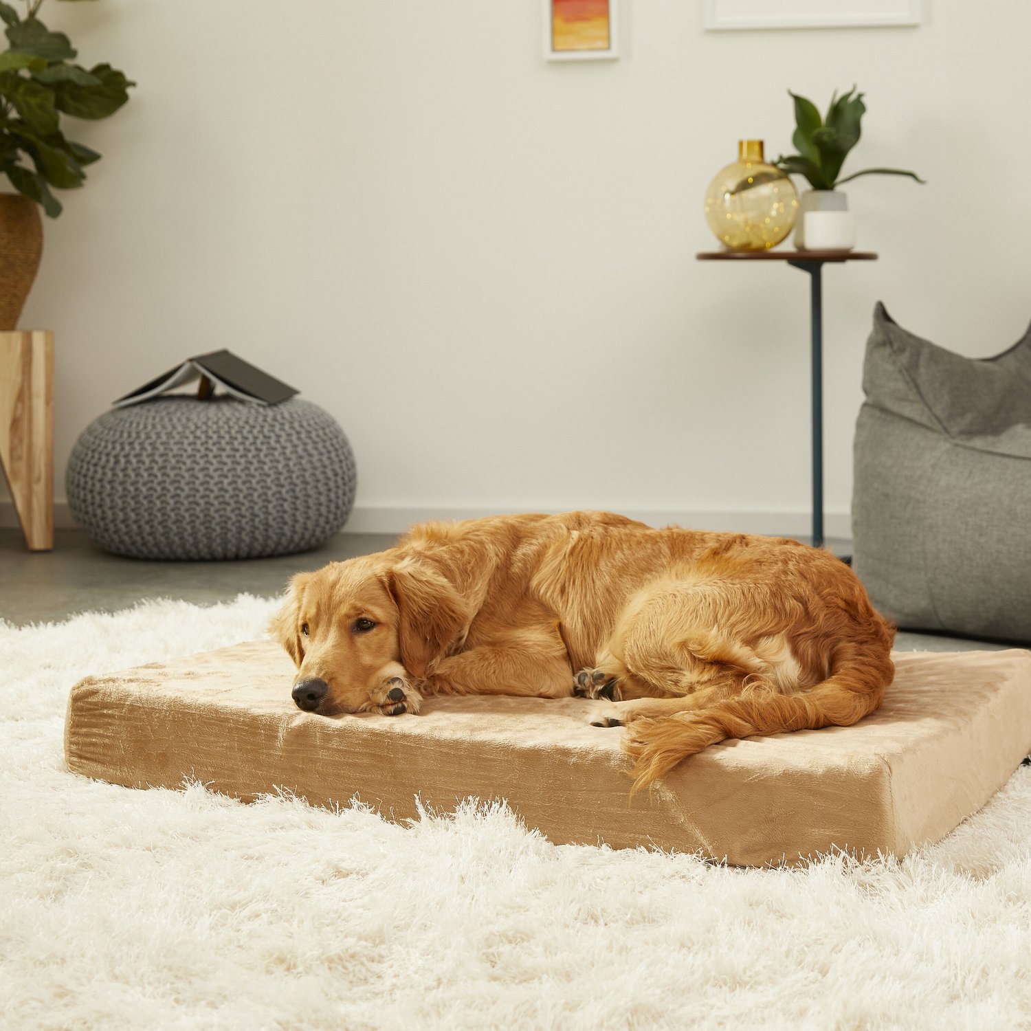 PETMAKER Memory Foam Pillow Dog Bed w/Removable Cover, Tan, Large - Chewy.com