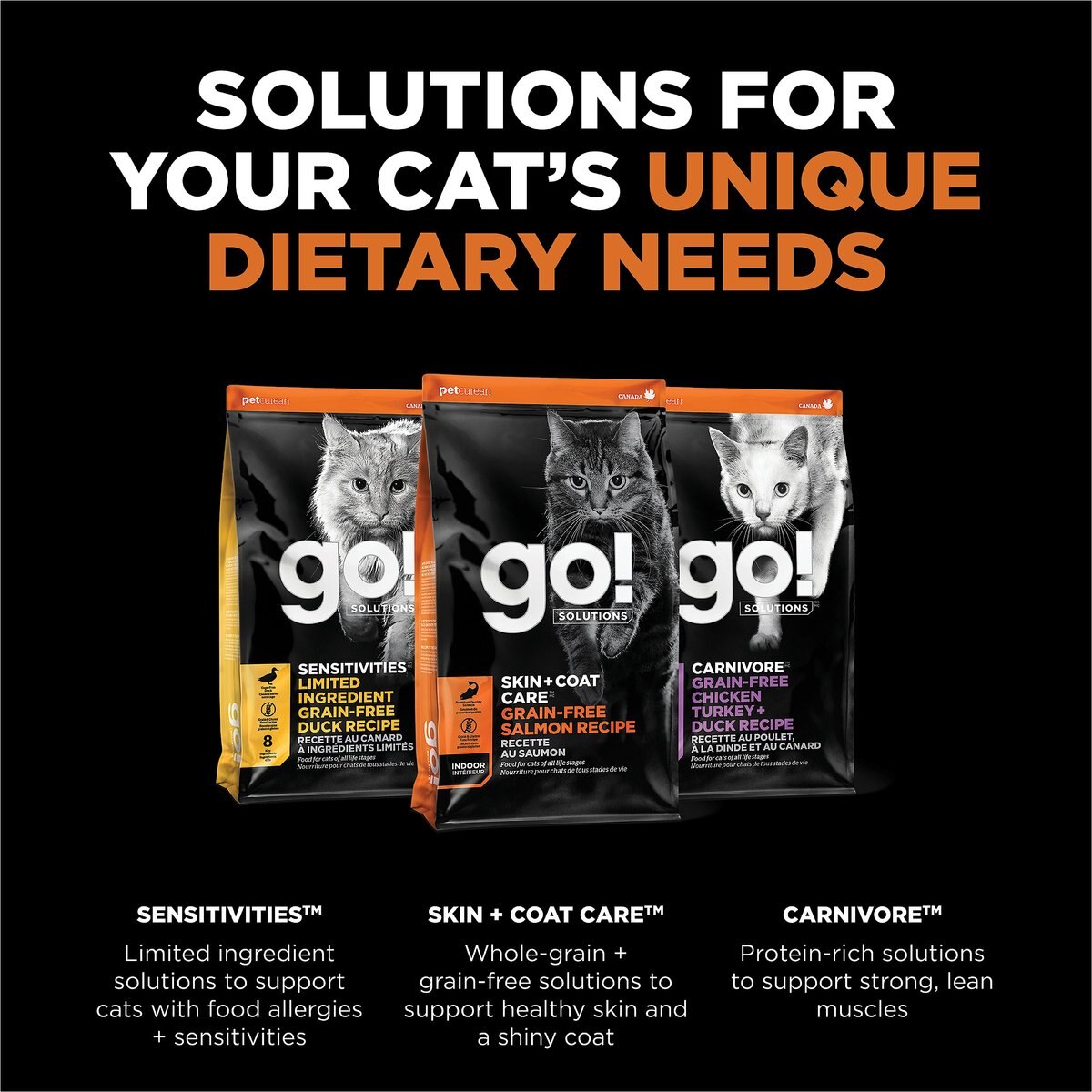 Go! Solutions Daily Defence Salmon Pate Recipe Canned Cat Food