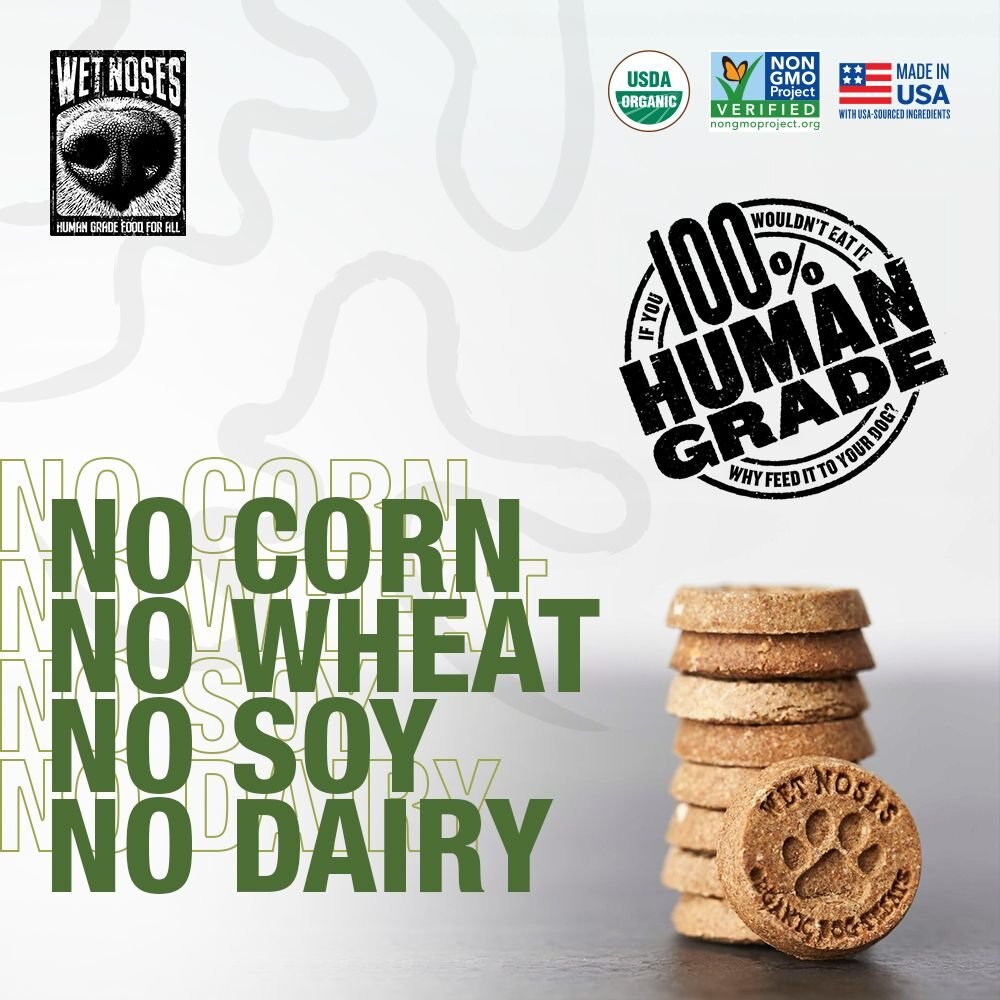 WET NOSES GrainFree Peanut Butter & Banana Flavor Dog Treats, 14oz