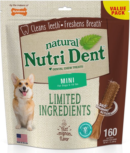 Nylabone Nutri Dent Filet Mignon Flavored Dog Dental Chews, Regular, Mini, 160 Count slide 1 of 11