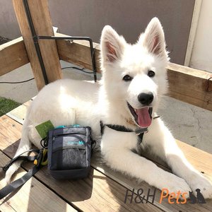 H&H Pets Treat Training Bag