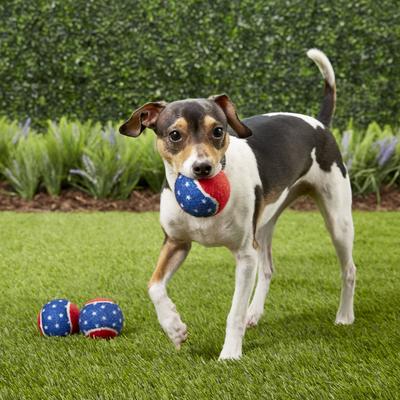 Show full view: Frisco Fetch Squeaking American Flag Tennis Ball Dog Toy, Medium, 3 count slide 4 of 6