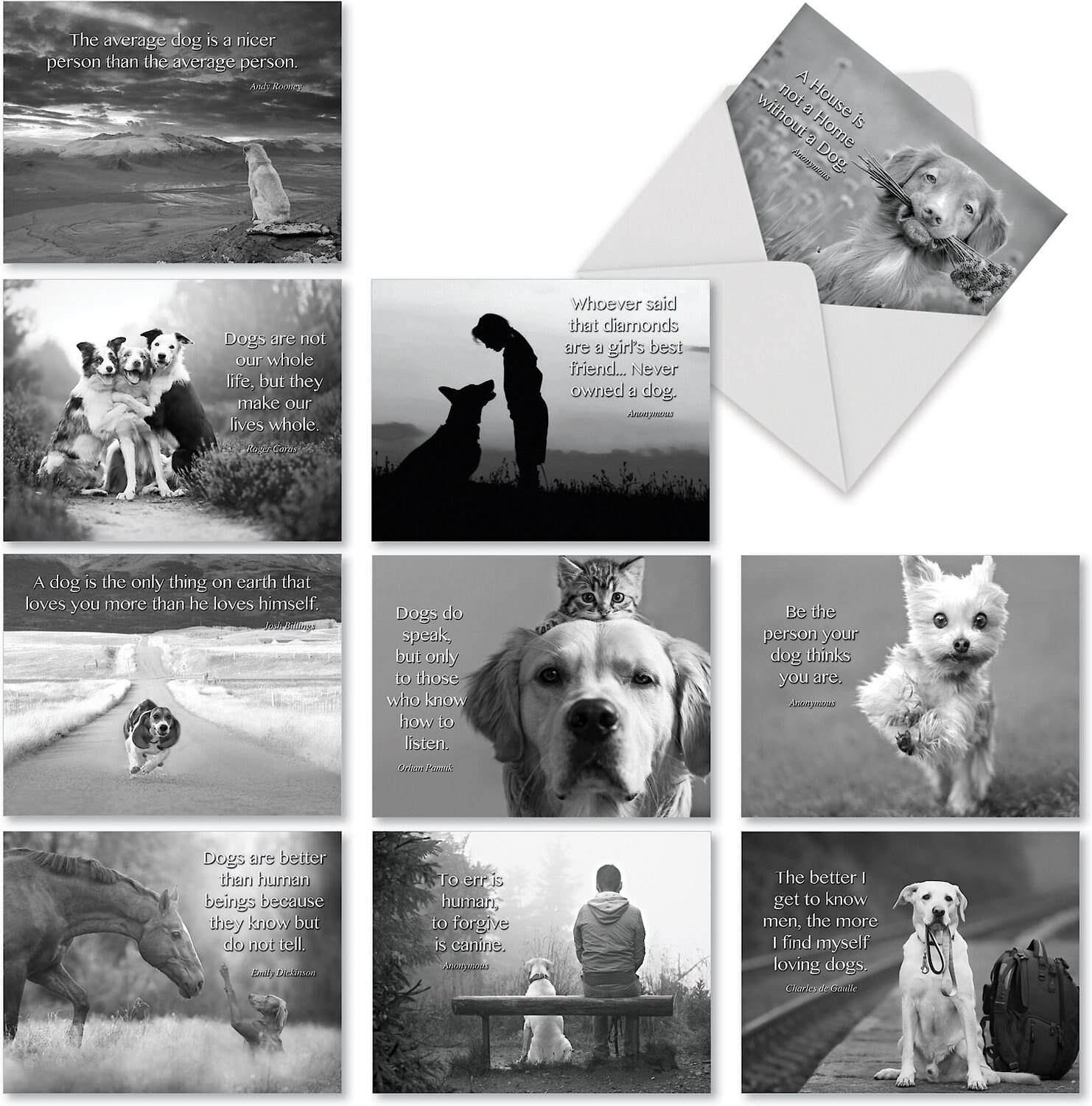 THE BEST CARD COMPANY Canine Comments Assorted Blank Greeting Cards, 10  count - Chewy.com
