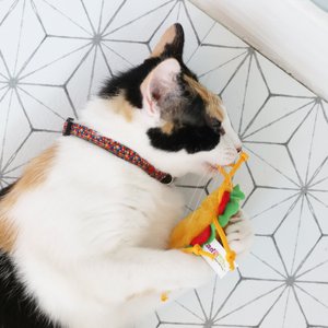 Mad Cat Tabby Taco Catnip & Silvervine Cat Toy