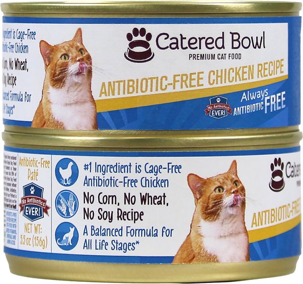 CATERED BOWL Antibiotic Free Chicken Recipe Canned Cat Food 5.5