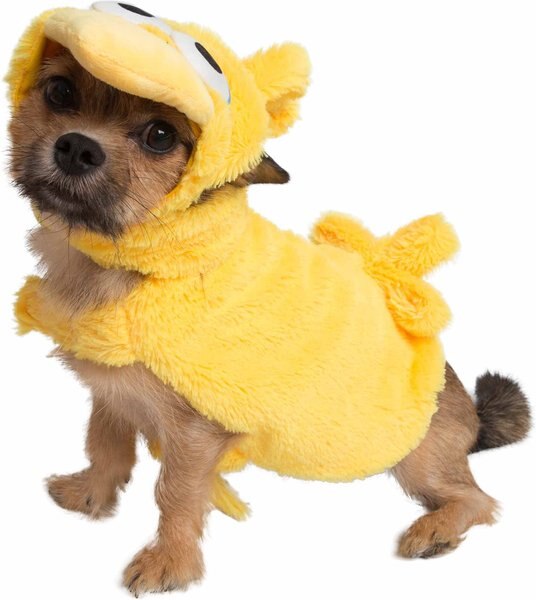 Discontinued - PET KREWE Sesame Street Big Bird Dog Costume, Small ...