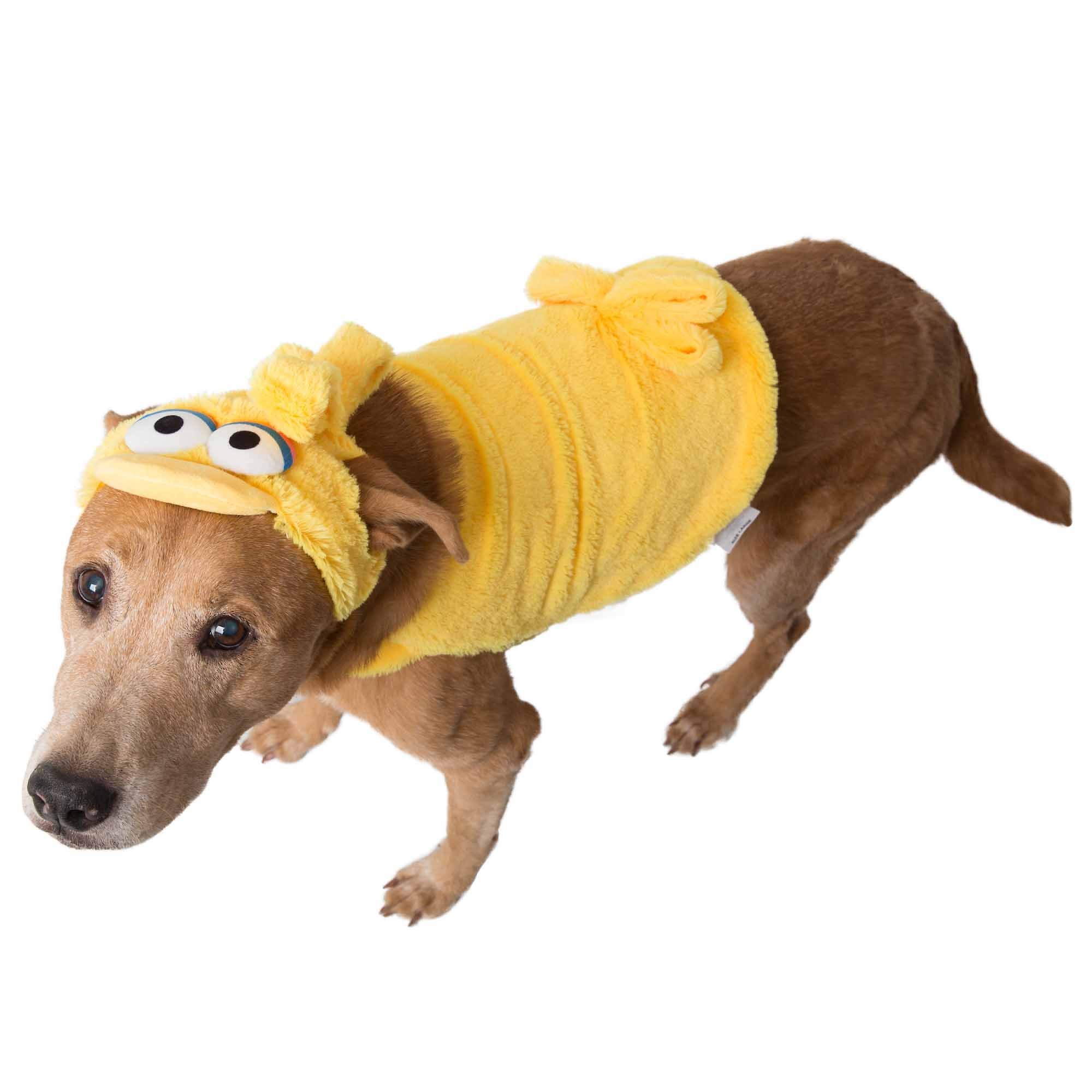 PET KREWE Sesame Street Big Bird Dog Costume Customer Questions - Chewy.com