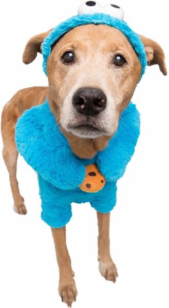 Pet Krewe Sesame Street Cookie Monster Dog & Cat Costume, Large slide 1 of 8