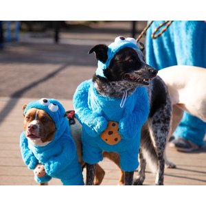 Pet Krewe Sesame Street Cookie Monster Dog & Cat Costume, Large