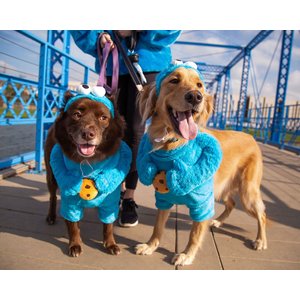 Pet Krewe Sesame Street Cookie Monster Dog & Cat Costume, Large
