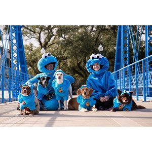 Pet Krewe Sesame Street Cookie Monster Dog & Cat Costume, Large