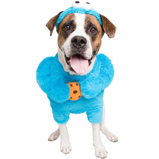 PET KREWE Sesame Street Cookie Monster Dog & Cat Costume, X-Large ...