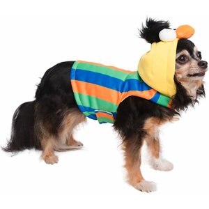 Pet Krewe Sesame Street Bert Dog & Cat Hoodie, Small