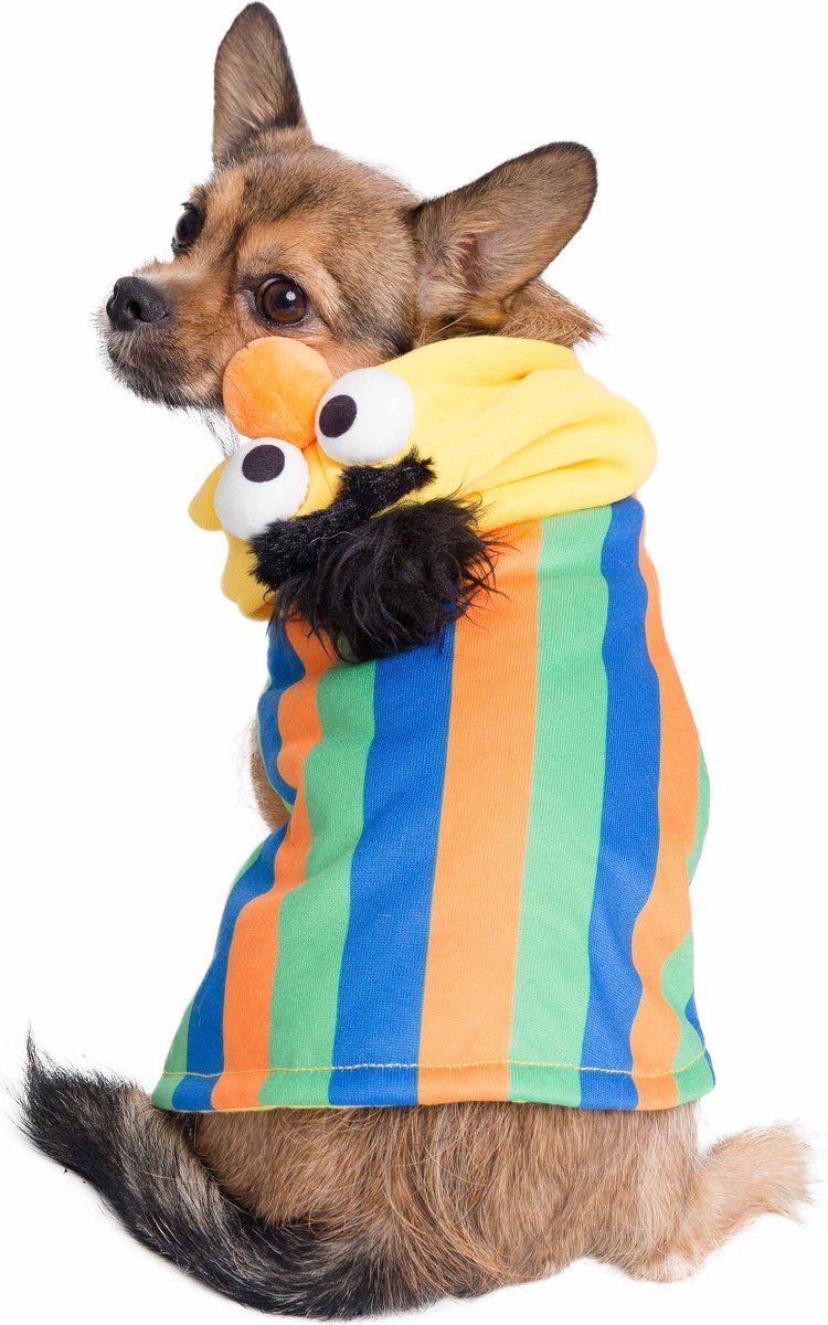 Pet Krewe Sesame Street Bert & Ernie Disc Dog Toy