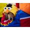 Show in main carousel: Pet Krewe Sesame Street Bert Dog & Cat Hoodie, Medium slide 3 of 8