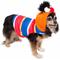 Show in main carousel: Pet Krewe Sesame Street Ernie Dog & Cat Hoodie, Small slide 5 of 10