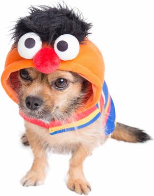 Show full view: Pet Krewe Sesame Street Ernie Dog & Cat Hoodie, Medium slide 4 of 10