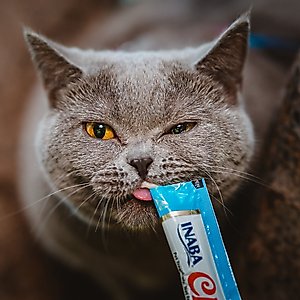 Inaba Churu Tuna & Chicken Puree Variety Pack Grain-Free Lickable Cat Treat, 0.5oz tube, pack of 50