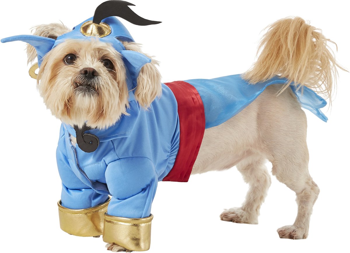 RUBIE'S COSTUME COMPANY Aladdin Genie Dog Costume, Medium - Chewy.com