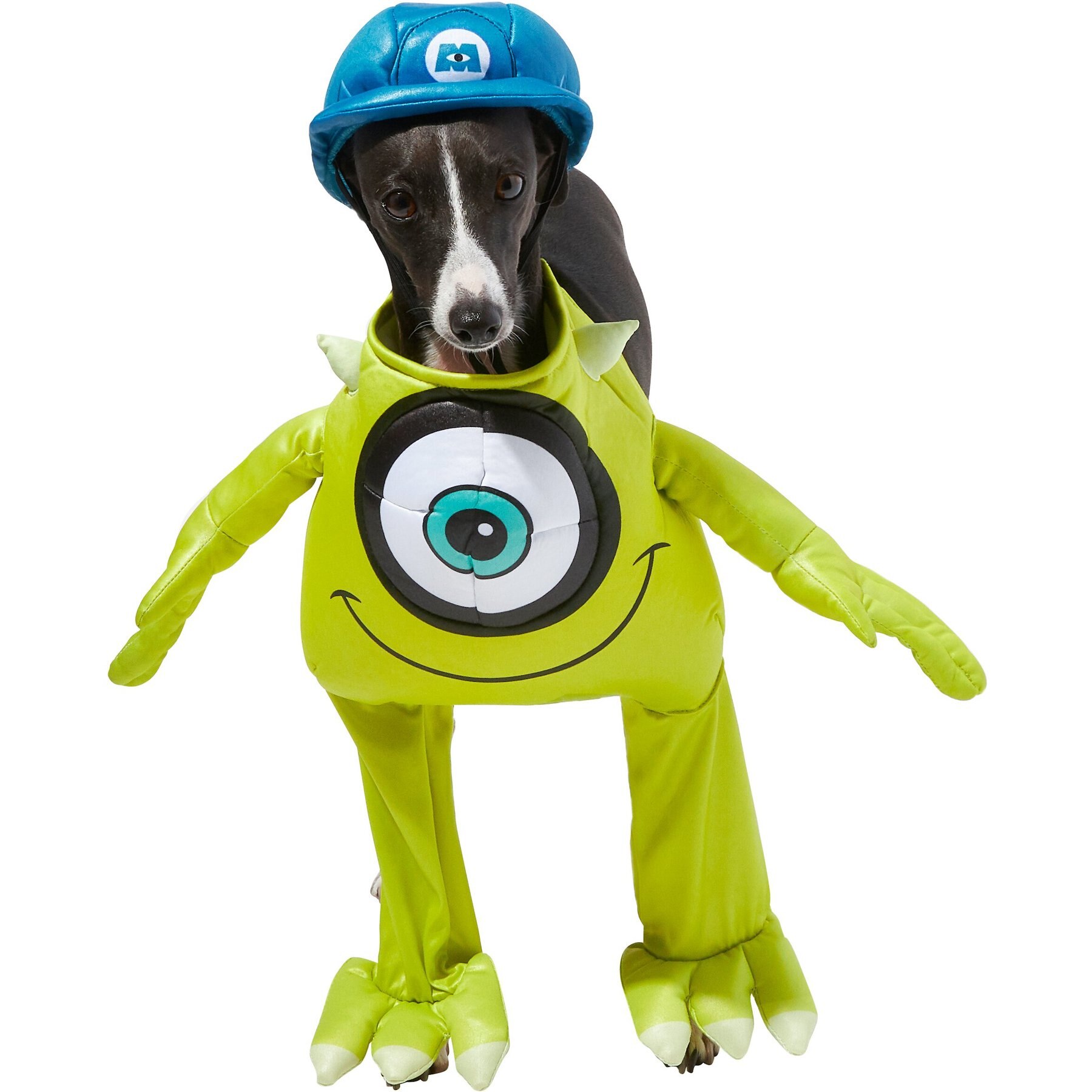 RUBIE'S COSTUME COMPANY Monsters, Inc. Mike Dog Costume, Large - Chewy.com