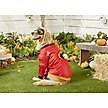 Rubie's Costume Company The Incredibles Dog Costume