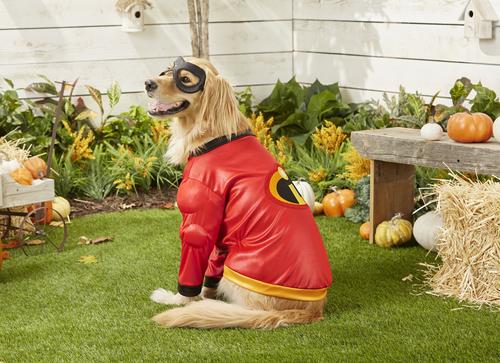 Show full view: Rubie's Costume Company The Incredibles Dog Costume, XX-Large slide 3 of 5