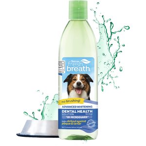 Best dog breath freshener water cheap additive