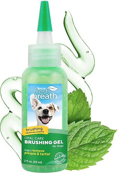 TropiClean Fresh Breath Brushing Dog Dental Gel, 2-oz bottle slide 1 of 10