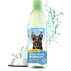 TropiClean Fresh Breath Dental Health Solution + Digestive Support Dog Dental Water Additive, 16-oz bottle