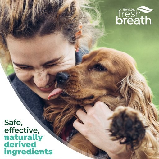 TropiClean Fresh Breath Oral Care Dog Dental Spray, 4-oz bottle