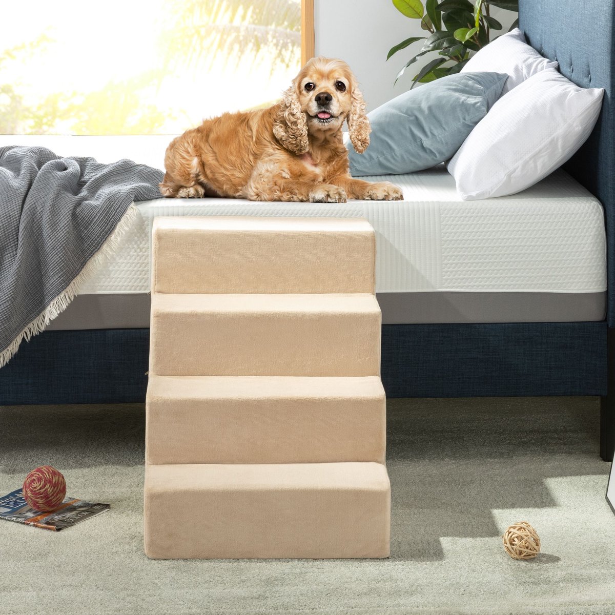 Chewy dog clearance steps for bed