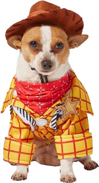 Discontinued - RUBIE'S COSTUME COMPANY Toy Story Woody Dog Costume ...