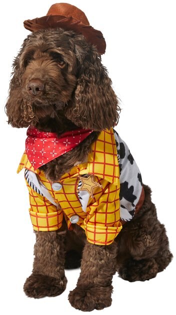 woody outfit for dogs